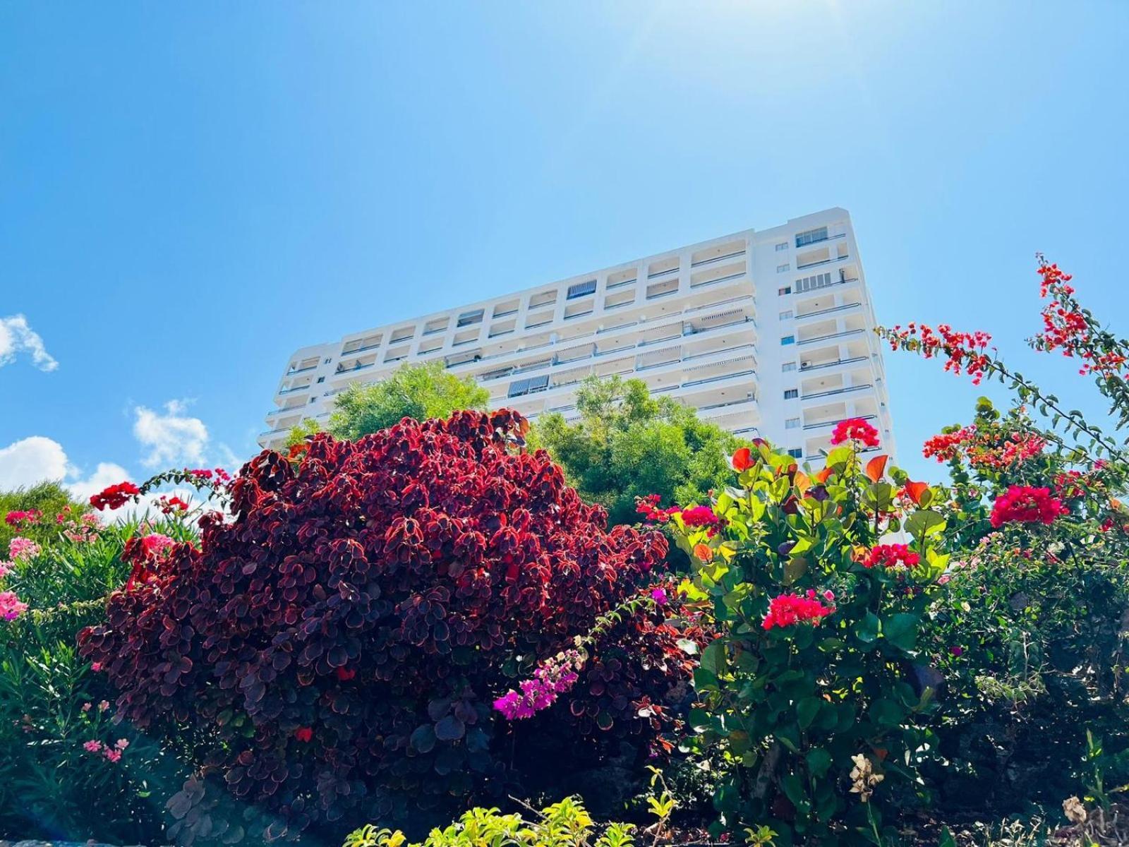 Luxury Kim Apartment, Ocean View & Wifi Free Playa Paraiso  Exterior photo